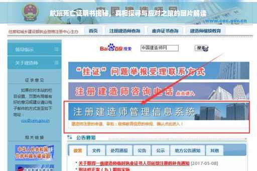 航班死亡证明书揭秘，真相探寻与应对之策的图片解读