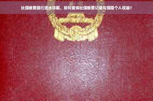 社保缴费银行流水详解，如何查询社保缴费记录与保障个人权益？