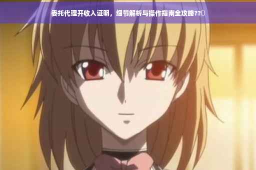 委托代理开收入证明，细节解析与操作指南全攻略??✨