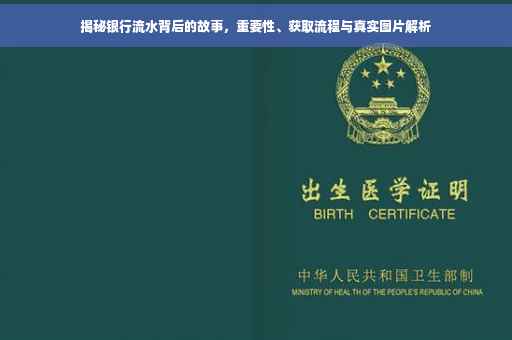 揭秘银行流水背后的故事，重要性、获取流程与真实图片解析