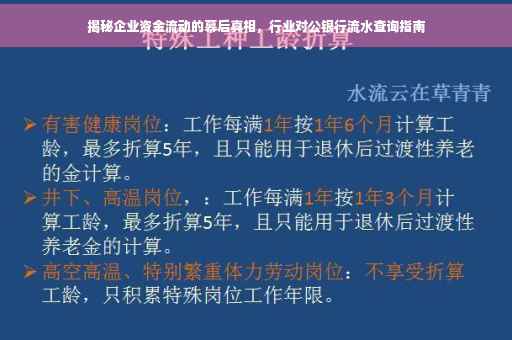 揭秘企业资金流动的幕后真相，行业对公银行流水查询指南