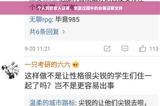 个人贷款收入证明，贷款过程中的必备证明文件