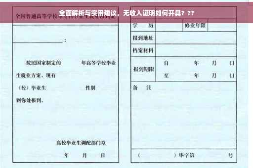 全面解析与实用建议，无收入证明如何开具？??