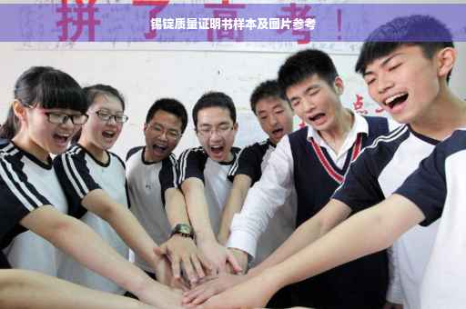 锡锭质量证明书样本及图片参考
