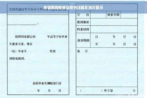 友谊医院疾病证明书详解及图片展示 友谊医院疾病证明书详解及图片展示