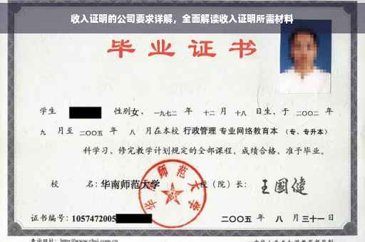 收入证明的公司要求详解，全面解读收入证明所需材料