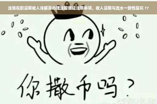 法签在职证明收入详解及办理法国签证注意事项，收入证明与流水一致性探究 ??