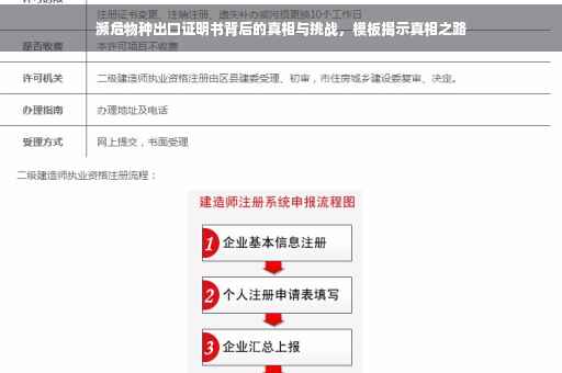 濒危物种出口证明书背后的真相与挑战，模板揭示真相之路