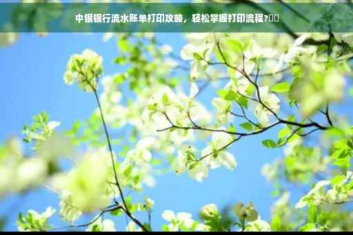 中银银行流水账单打印攻略，轻松掌握打印流程?⚡️