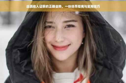 出具收入证明的正确姿势，一份详尽指南与实用技巧