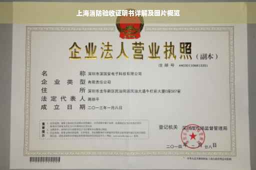 上海消防验收证明书详解及图片概览