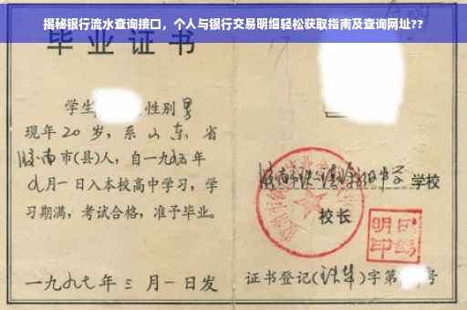 揭秘银行流水查询接口，个人与银行交易明细轻松获取指南及查询网址??