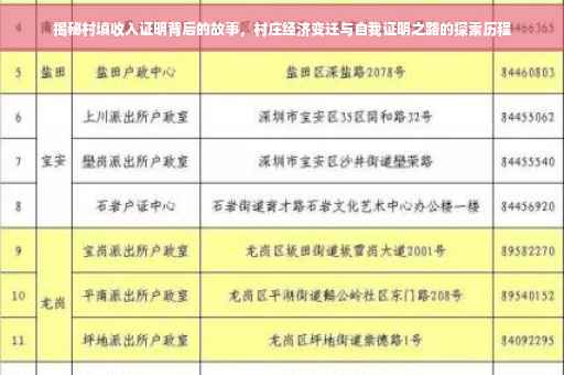揭秘村填收入证明背后的故事，村庄经济变迁与自我证明之路的探索历程