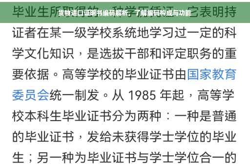 货物进口证明书编码解析，了解编码构成与功能