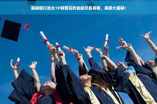 揭秘银行流水TP转背后的金融交易真相，真相大揭秘！