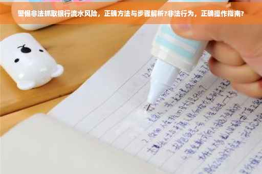 警惕非法抓取银行流水风险，正确方法与步骤解析?非法行为，正确操作指南?