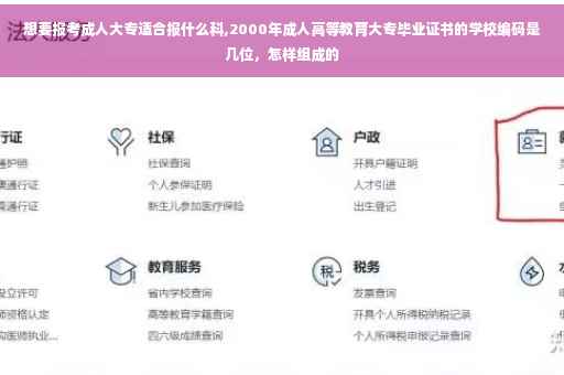 想要报考成人大专适合报什么科,2000年成人高等教育大专毕业证书的学校编码是几位，怎样组成的