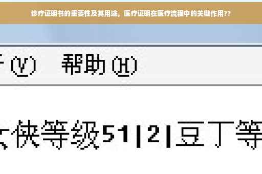 诊疗证明书的重要性及其用途，医疗证明在医疗流程中的关键作用??