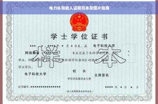 电力补贴收入证明范本及图片指南