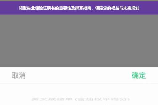 领取失业保险证明书的重要性及撰写指南，保障您的权益与未来规划