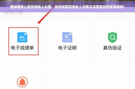 揭秘烟草公司顶级收入内幕，如何获取顶级收入证明与高薪背后的故事揭秘！