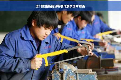 厦门医院疾病证明书详解及图片指南