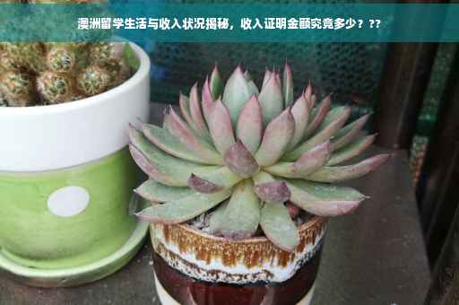 澳洲留学生活与收入状况揭秘，收入证明金额究竟多少？??