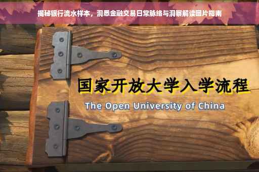 揭秘银行流水样本，洞悉金融交易日常脉络与洞察解读图片指南