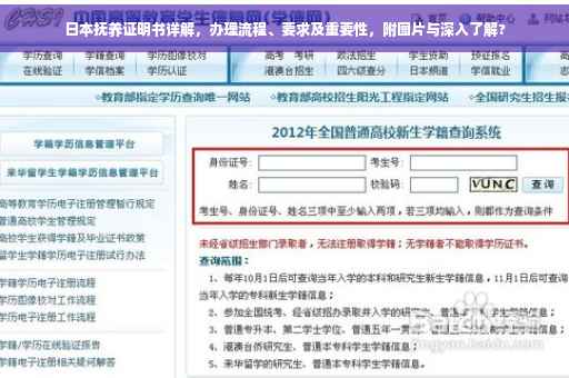 日本抚养证明书详解，办理流程、要求及重要性，附图片与深入了解?