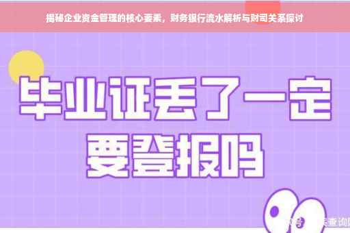 揭秘企业资金管理的核心要素，财务银行流水解析与财司关系探讨