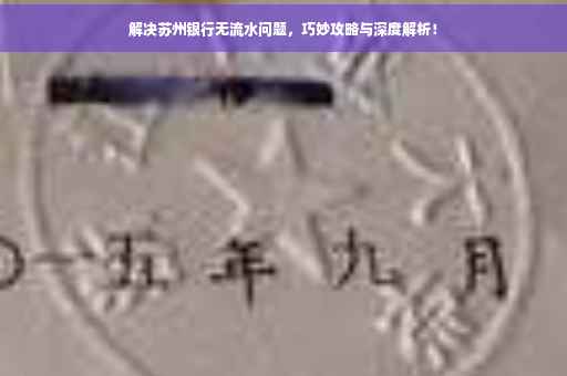 解决苏州银行无流水问题，巧妙攻略与深度解析！