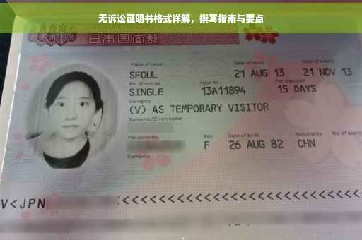 无诉讼证明书格式详解，撰写指南与要点