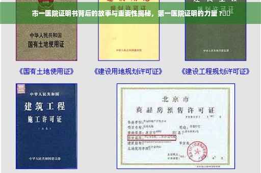 市一医院证明书背后的故事与重要性揭秘，第一医院证明的力量 ?⚡️
