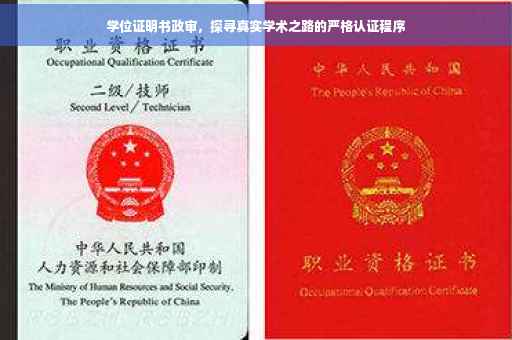 学位证明书政审，探寻真实学术之路的严格认证程序