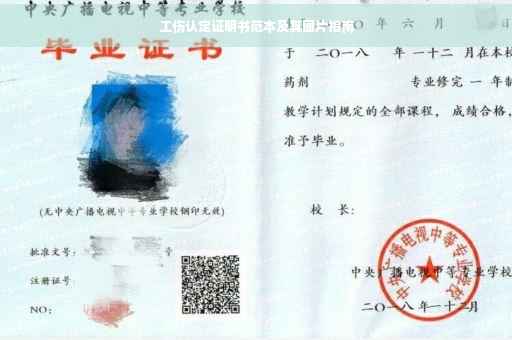 工伤认定证明书范本及其图片指南