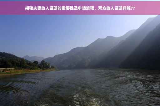 揭秘夫妻收入证明的重要性及申请流程，双方收入证明详解??