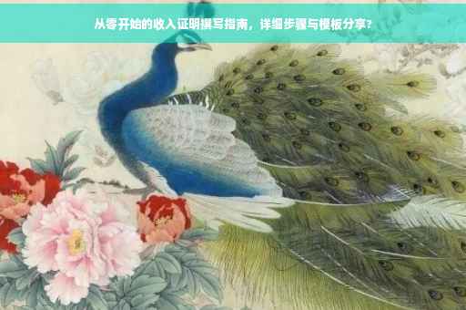 从零开始的收入证明撰写指南，详细步骤与模板分享?