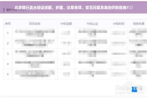 北京银行流水验证详解，步骤、注意事项、常见问题及真伪识别指南?⚡️