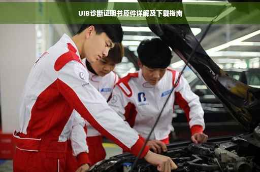 UIB诊断证明书原件详解及下载指南