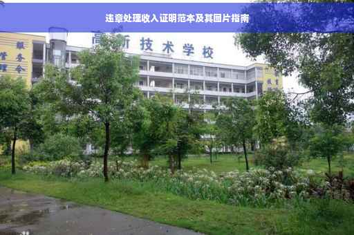 违章处理收入证明范本及其图片指南