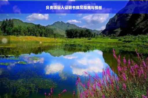 负责项目人证明书撰写指南与模板