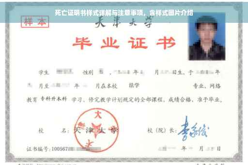 死亡证明书样式详解与注意事项，含样式图片介绍
