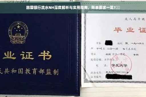 韩国银行流水NH深度解析与实用指南，账单要求一览?⚡️