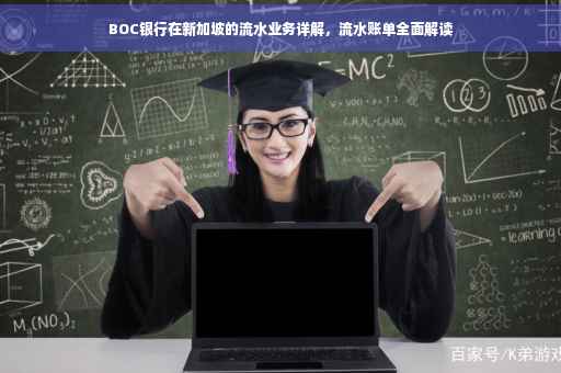 BOC银行在新加坡的流水业务详解，流水账单全面解读