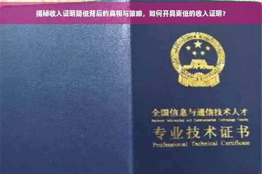 揭秘收入证明降低背后的真相与策略，如何开具更低的收入证明？