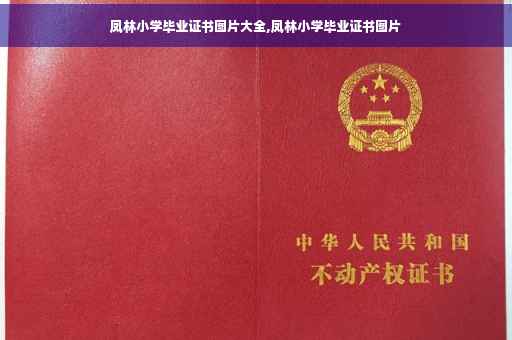 凤林小学毕业证书图片大全,凤林小学毕业证书图片