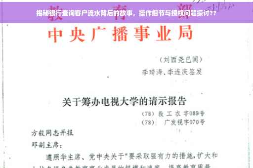 揭秘银行查询客户流水背后的故事，操作细节与授权问题探讨??