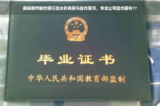 揭秘郑州制作银行流水的真相与操作细节，专业公司操作解析??