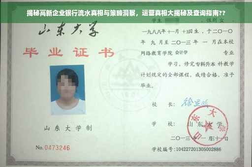 揭秘高新企业银行流水真相与策略洞察，运营真相大揭秘及查询指南??