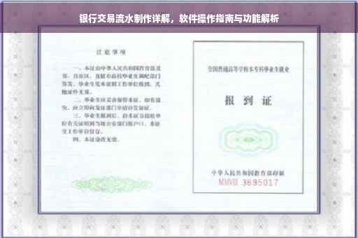 银行交易流水制作详解，软件操作指南与功能解析
